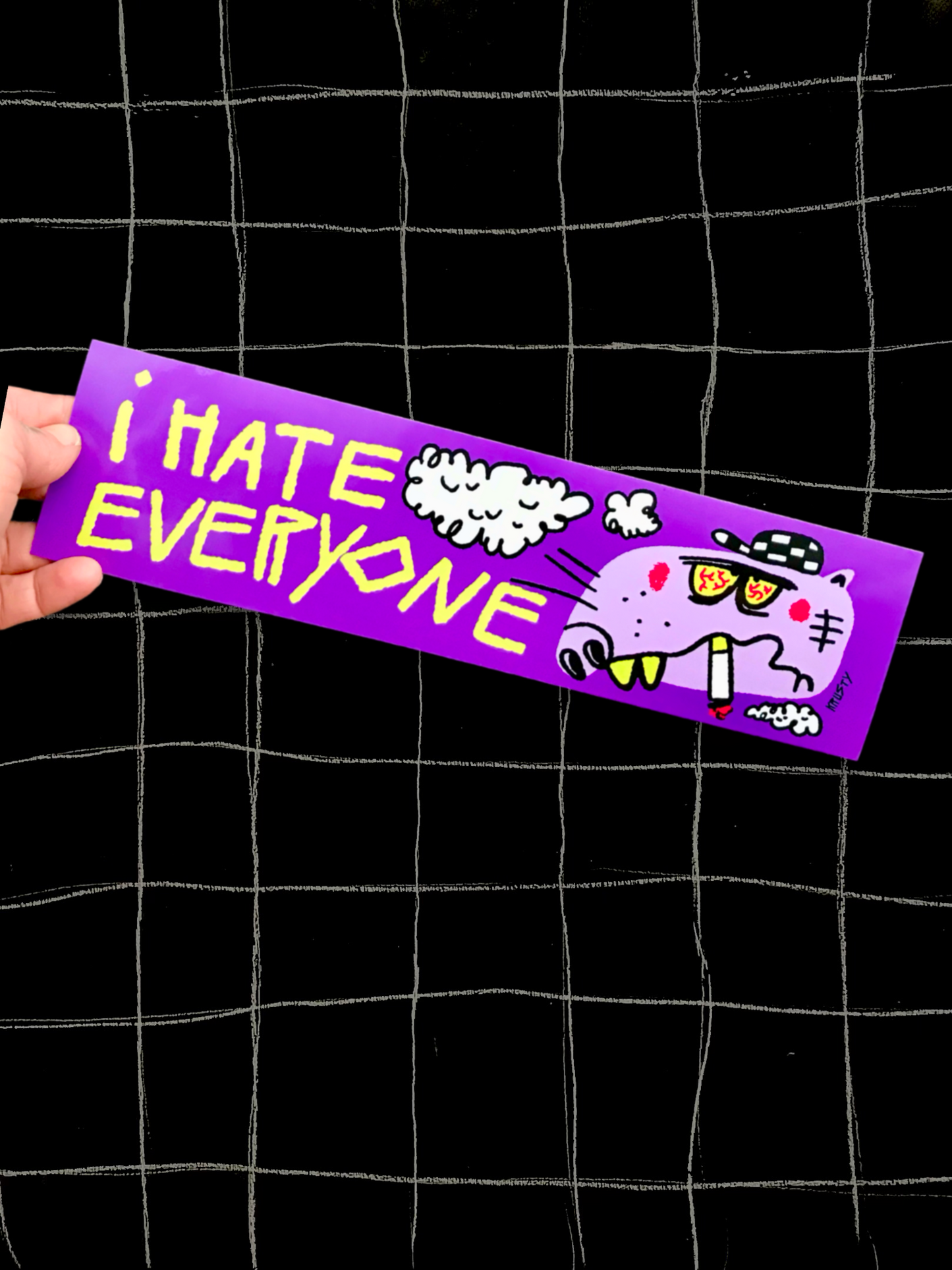 I HATE EVERYONE BUMPER STICKER