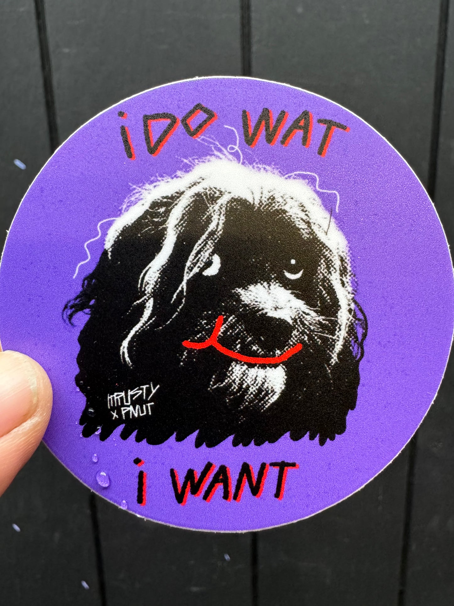 PNUT "I DO WAT I WANT" STICKER