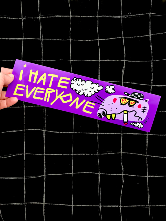 I HATE EVERYONE BUMPER STICKER